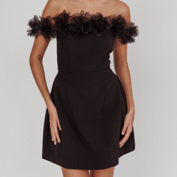 NWOT Off the Shoulder Tulle Detail Mini Dress - Picture 2 of 7